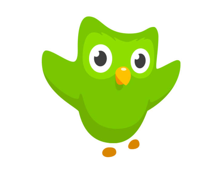 Travailler avec Duolingo
