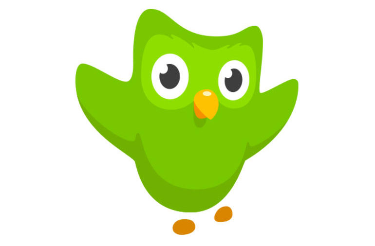 Travailler avec Duolingo